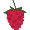 Raspberry