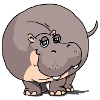 süßes Nilpferd