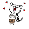 Kitten loves coffee