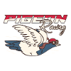 Pegeon Racer