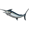 Blue Marlin Swordfish Fanfish