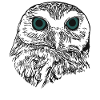 Owls bird motif