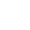 Made in 1976 Limited Edition