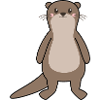 Otter