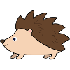Hedgehog