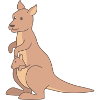Kangaroo