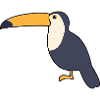 Toucan