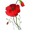 Fleur