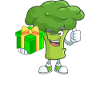 Brokkoli Vegetarisch Geschenk