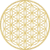 Flower of Life - Solo 3