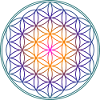 Flower of Life - Solo 4