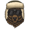 Bear with sunglasses