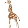 Giraffe Kinder