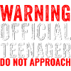 Adolescente ufficiale 13 anni Divertente 13 ° compleanno