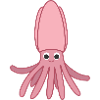 Squid