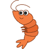 Shrimp