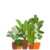 Nur noch eine Pflanze