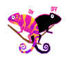 Chameleon Chameleoff Reptile Lizard