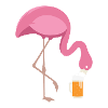 Flamingo Drinking Beer Pink Flamingo