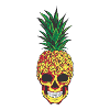 Ananas Crâne Aloha Plages Hawaïenne