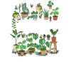 Plant Mom