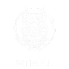 Pitbull Dog Fighting Dog