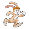 Rabbit jogging with headband