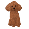 Cane Paw Animal Lover Barodle