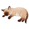 Sleeping Cat, Siam Cat
