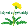 Unkraut vergeht nicht Dandelion