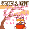 shiba inu