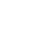 Rollercoaster Roller Coaster