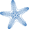 Starfish
