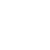 Cerveau - Vector anatomique