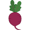 Beetroot