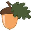 Acorn Nut