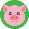 Pig head