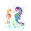 Seepferdchen