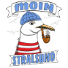 MÖWE MOIN STRALSUND