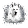 white shepherd dog ,dog,white,dog,painting,wolf