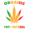 Reggae