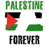 Palestine Flag Palestine