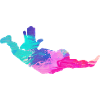 Skydiving Skydivers