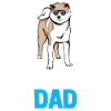 Akita Inu Dad