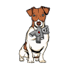 Jack Russell Terrier Peluche