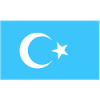 Uyghur Flag