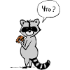 The raccoon