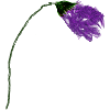 Violet flower with abstract surface