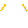 Praktikant Spruch