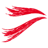 stormy Austrian flag frayed
